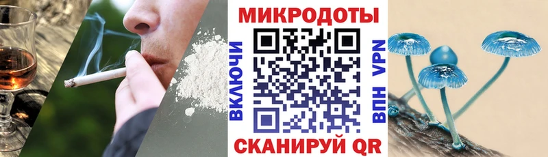 Купить закладки  Малмыж  Галлюциногенные грибы прущие грибы 